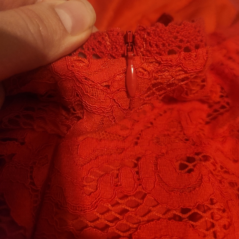 BB Dakota Rsvp Rylee Lace Bodycon Dress - Picture 5 of 7